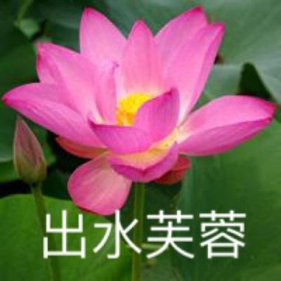 04版要闻 - 庆祝中国共产党成立一百零三周年交响音乐会在京举行